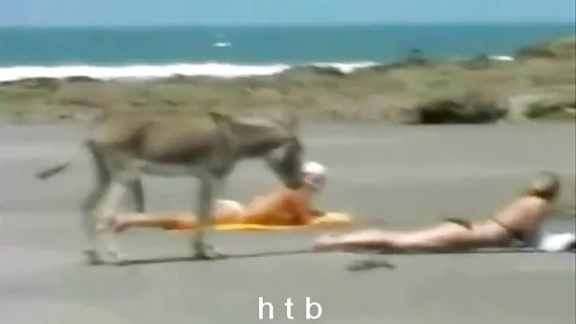 Mujer embarazada videos poenos en español cabalga pene